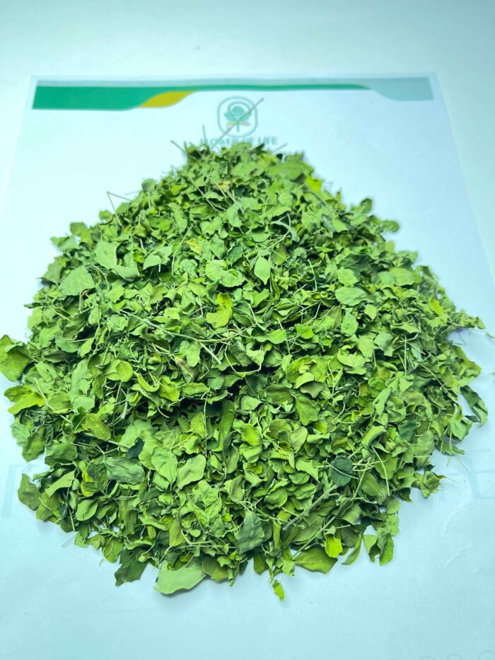 MORINGA - Image 2