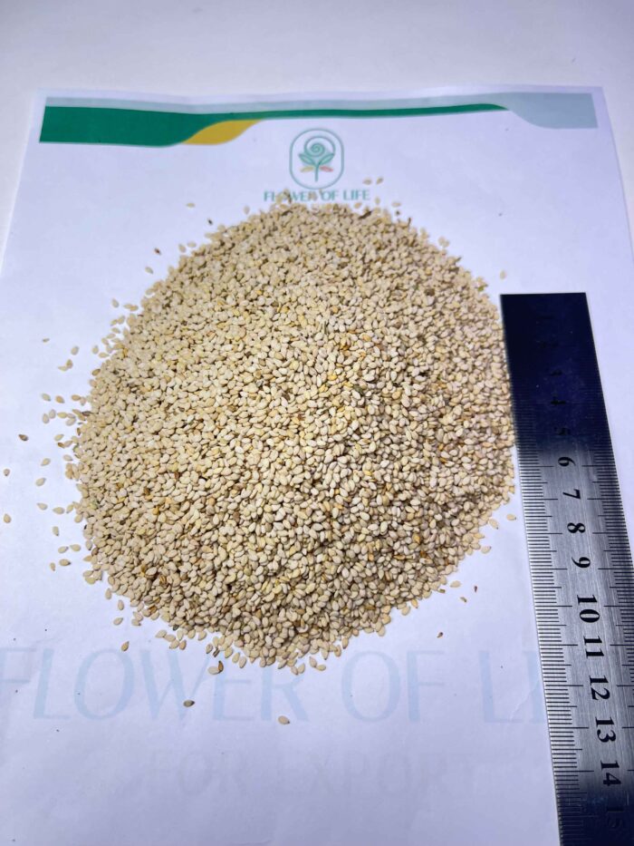 SESAME SEEDS - Image 3